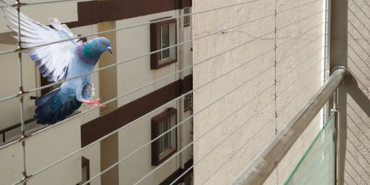 Invisible Grill for Pigeon Control in Bangalore